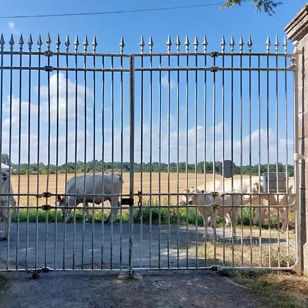 Chateau Dore Les Tours - Renard - Proche Puy Du Fou 度假居