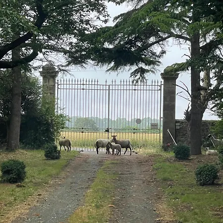 Chateau Dore Les Tours - Renard - Proche Puy Du Fou Montfaucon-Montigne