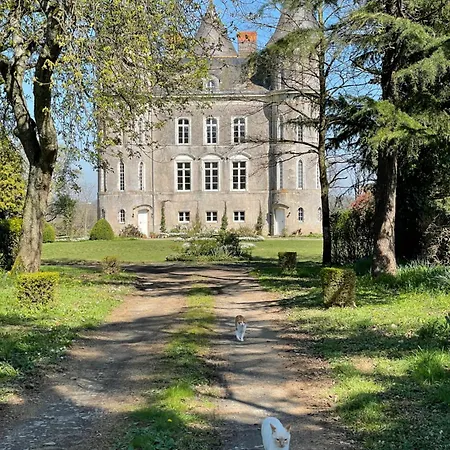 Chateau Dore Les Tours - Renard - Proche Puy Du Fou Montfaucon-Montigne