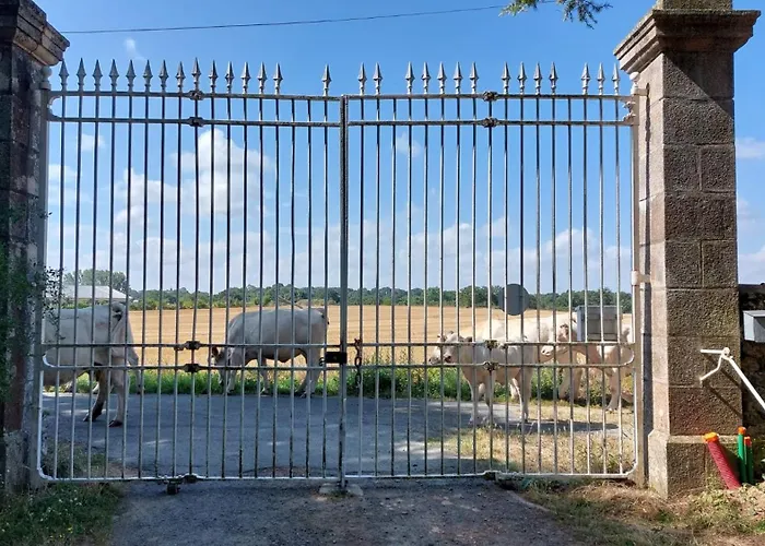 Chateau Dore Les Tours - Renard - Proche Puy Du Fou Σπίτι διακοπών