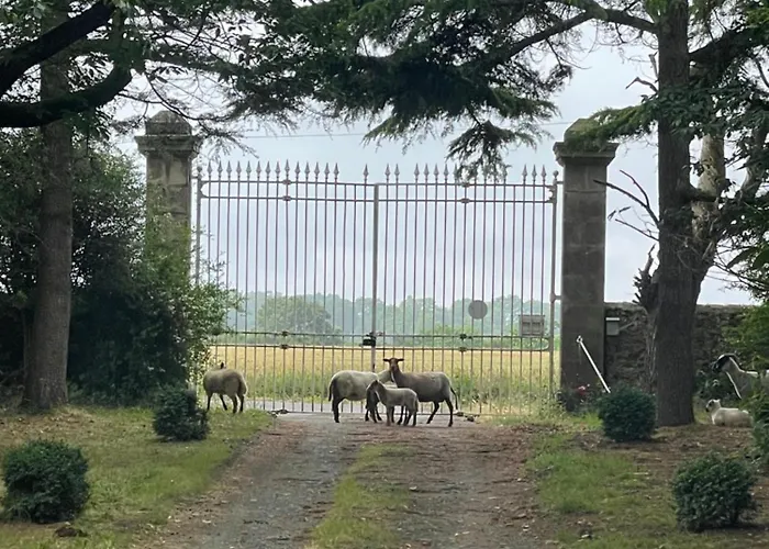 Chateau Dore Les Tours - Renard - Proche Puy Du Fou Montfaucon-Montigne