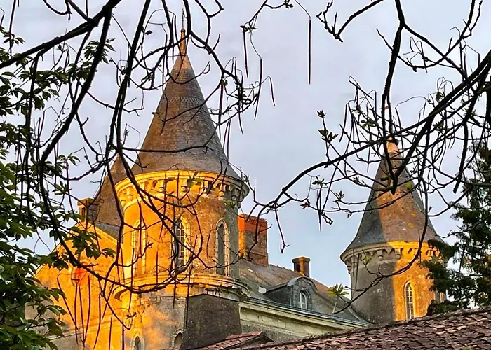 Chateau Dore Les Tours - Renard - Proche Puy Du Fou * Montfaucon-Montigne