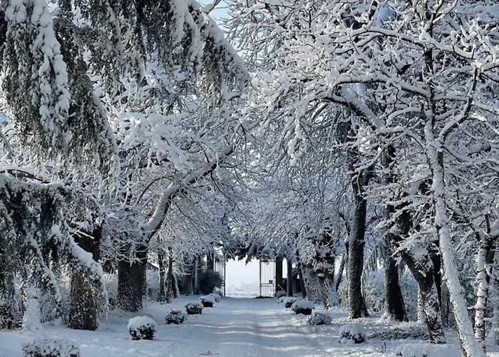 Chateau Dore Les Tours - Renard - Proche Puy Du Fou *